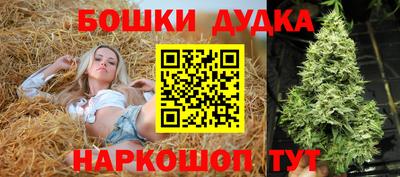 mdpv Новокубанск