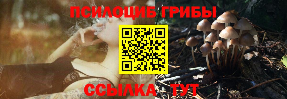 Псилоцибиновые грибы прущие грибы  Псилоцибиновые грибы Cubensis  Тобольск  Вход с VPN 