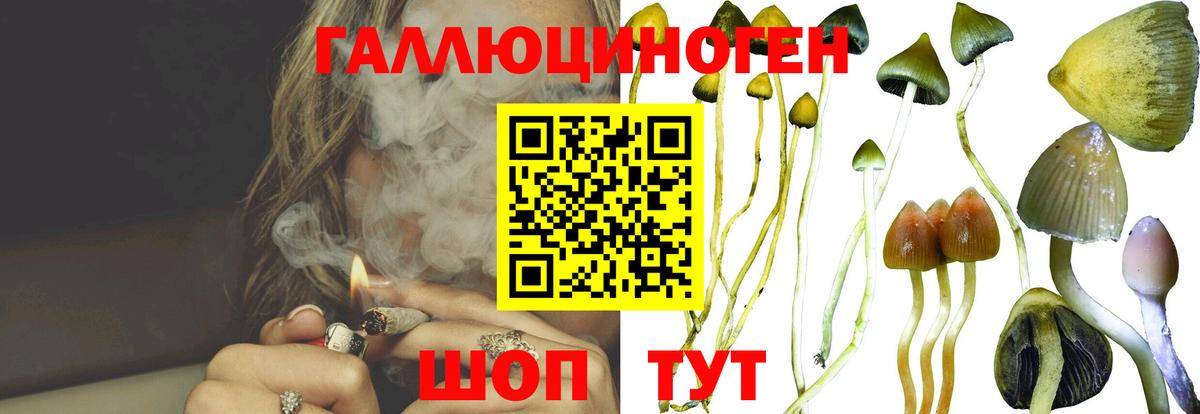 Галлюциногенные грибы GOLDEN TEACHER Тобольск