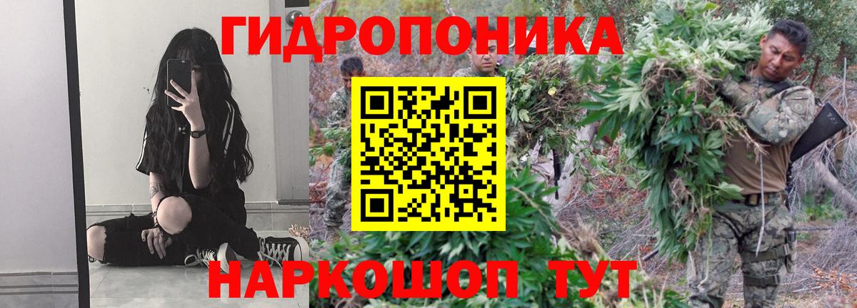 Бошки марихуана тримм  Канабис тримм  Тобольск  Вход с VPN  Конопля сатива 